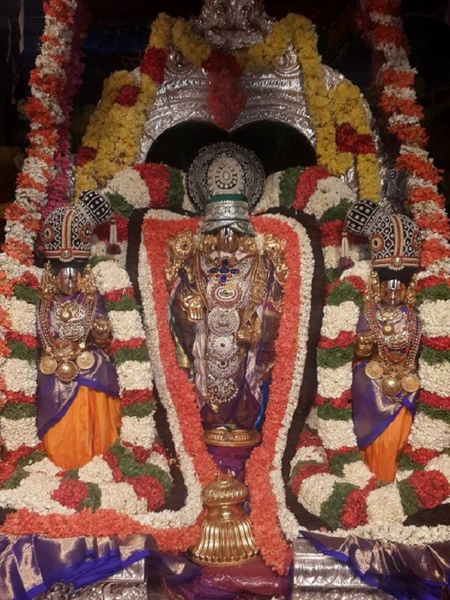 Tirumala Sri Malayappaswamy Temple Varshika Brahmotsavam10