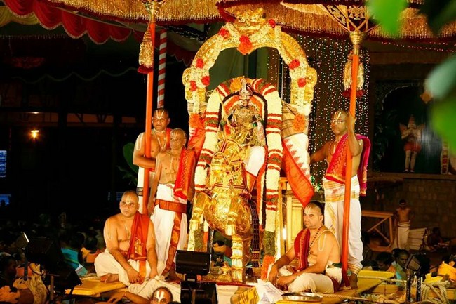 Tirumala Sri Malayappaswamy Temple Varshika Brahmotsavam17