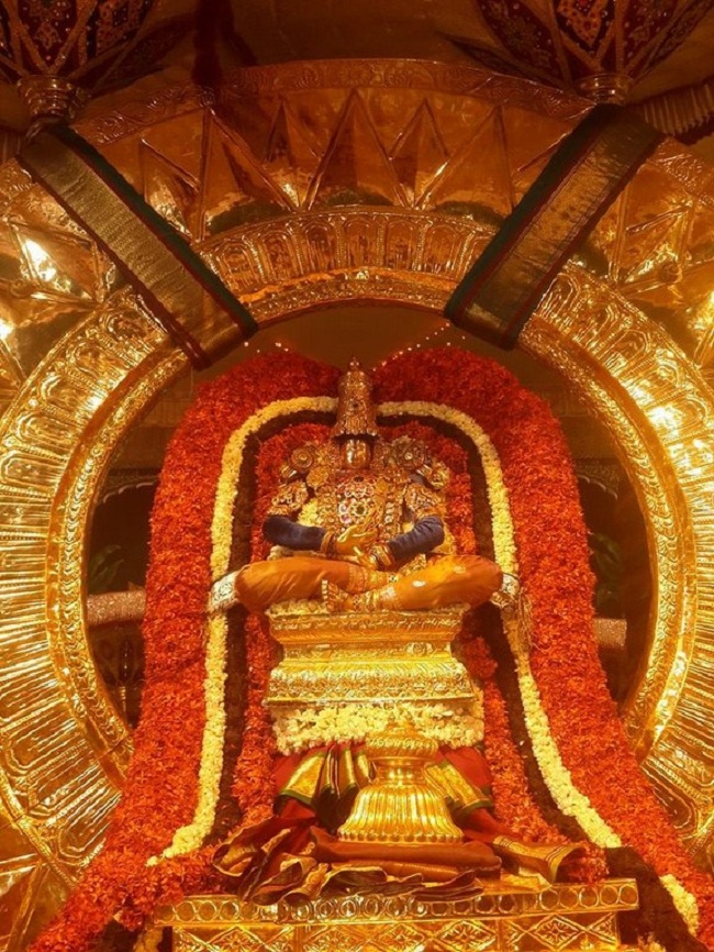 Tirumala Sri Malayappaswamy Temple Varshika Brahmotsavam18