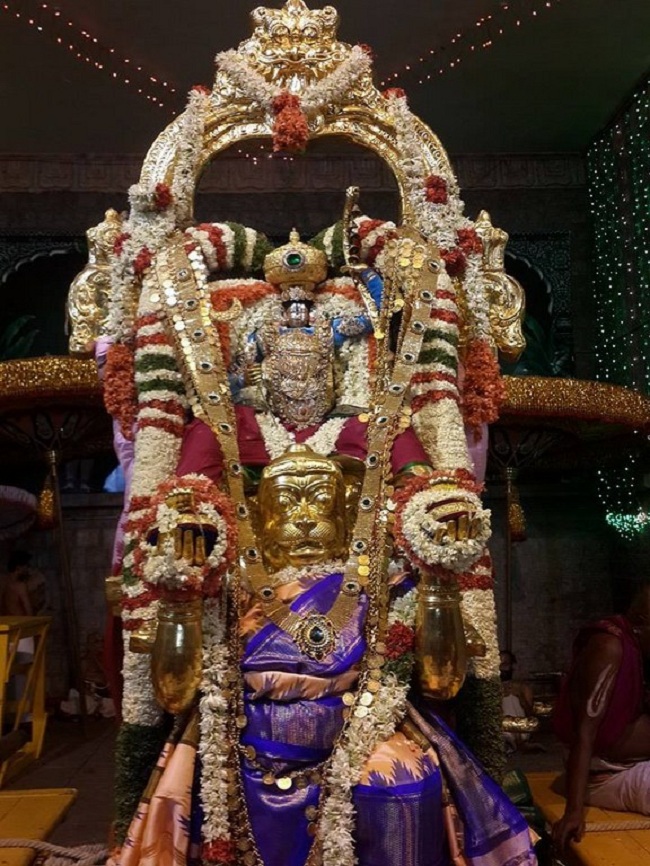 Tirumala Sri Malayappaswamy Temple Varshika Brahmotsavam6