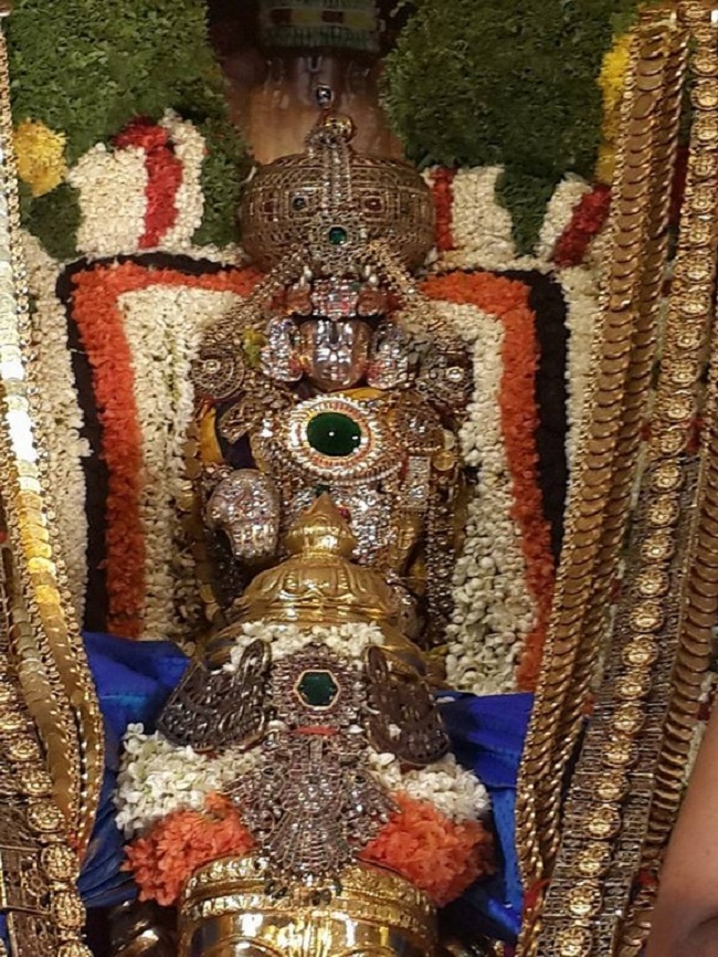 Tirumala Sri Malayappaswamy Temple Varshika Brahmotsavam8