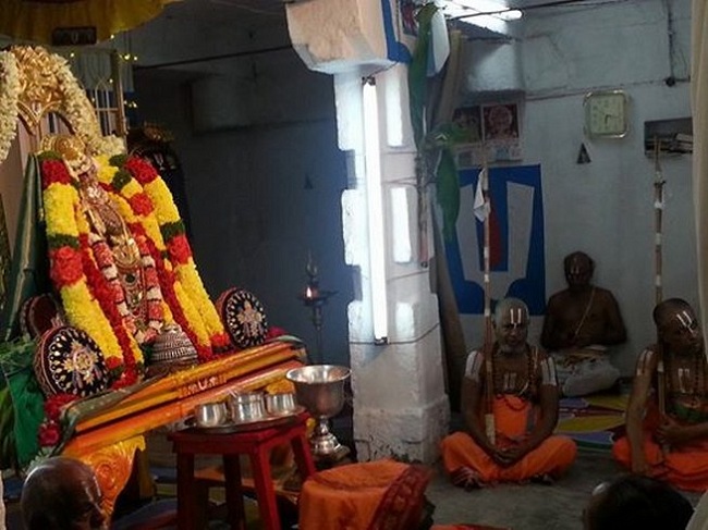 Tirupathi Sri Govindaraja Swamy Temple Sri Manavala Mamunigal Avatara Utsavam10