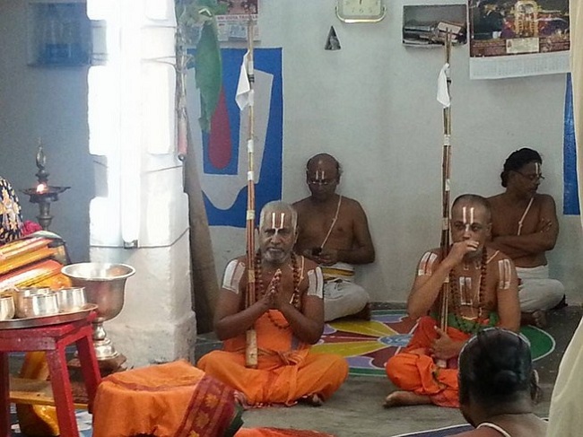 Tirupathi Sri Govindaraja Swamy Temple Sri Manavala Mamunigal Avatara Utsavam11