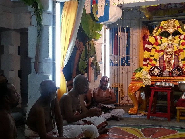 Tirupathi Sri Govindaraja Swamy Temple Sri Manavala Mamunigal Avatara Utsavam1