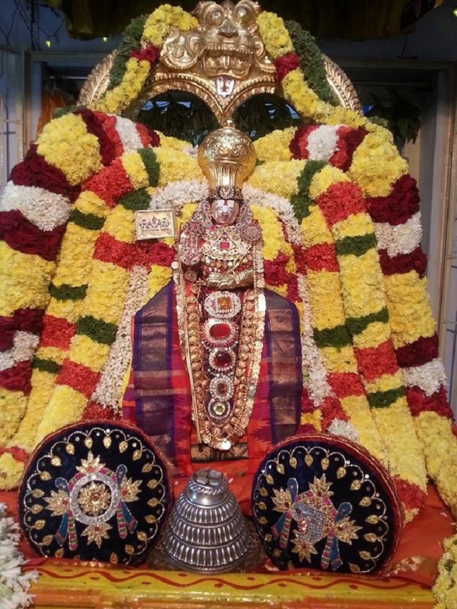 Tirupathi Sri Govindaraja Swamy Temple Sri Manavala Mamunigal Avatara Utsavam12