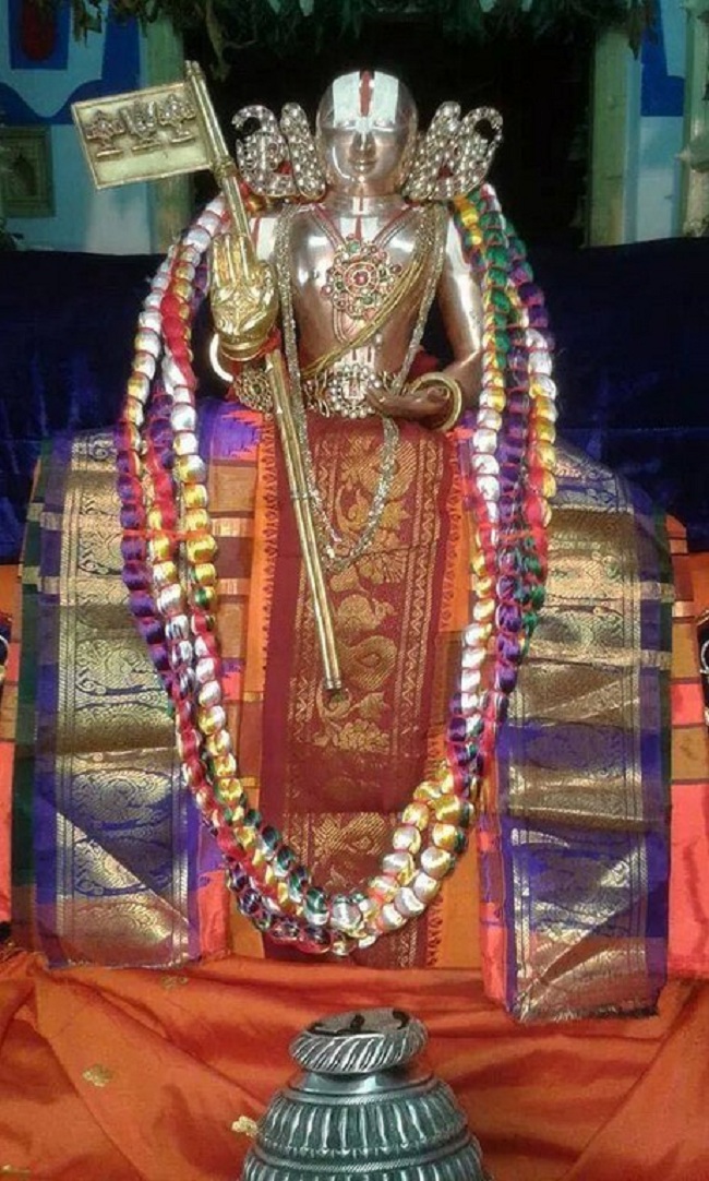 Tirupathi Sri Govindaraja Swamy Temple Sri Manavala Mamunigal Avatara Utsavam13