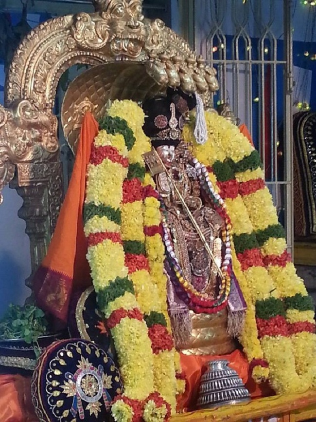 Tirupathi Sri Govindaraja Swamy Temple Sri Manavala Mamunigal Avatara Utsavam14