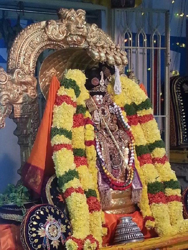 Tirupathi Sri Govindaraja Swamy Temple Sri Manavala Mamunigal Avatara Utsavam15