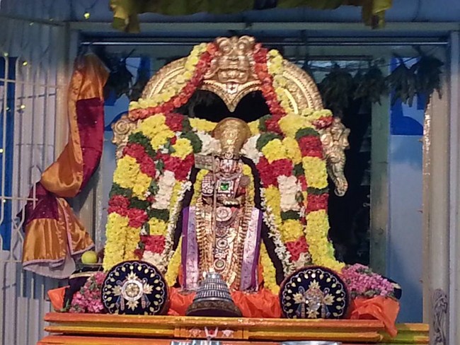 Tirupathi Sri Govindaraja Swamy Temple Sri Manavala Mamunigal Avatara Utsavam15