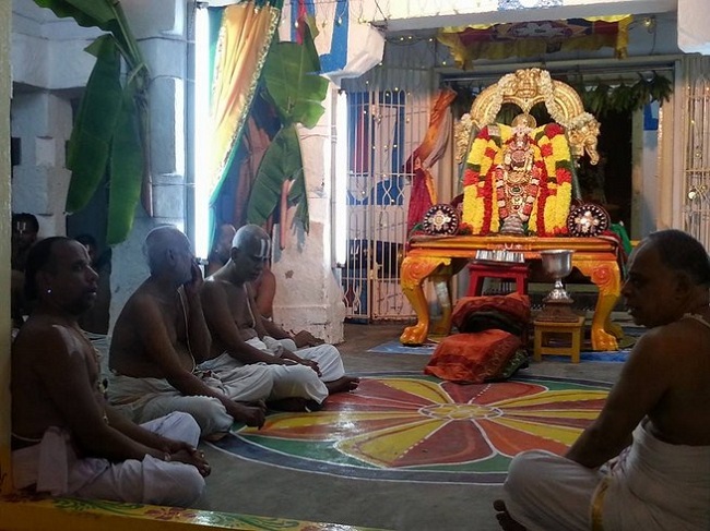 Tirupathi Sri Govindaraja Swamy Temple Sri Manavala Mamunigal Avatara Utsavam2