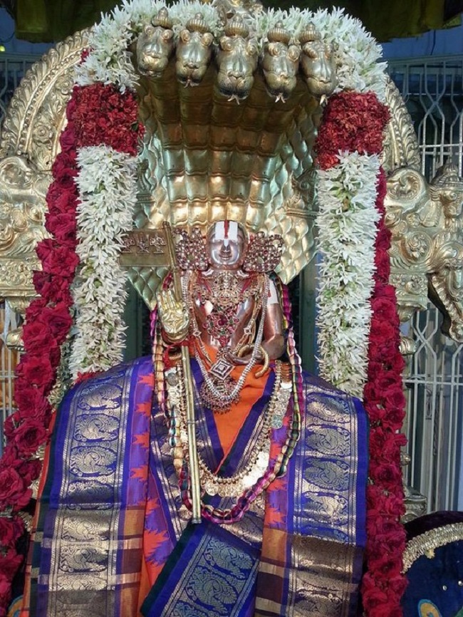 Tirupathi Sri Govindaraja Swamy Temple Sri Manavala Mamunigal Avatara Utsavam3
