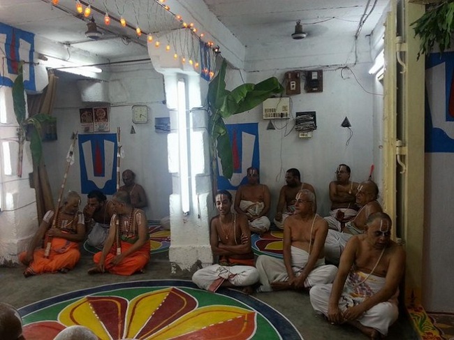 Tirupathi Sri Govindaraja Swamy Temple Sri Manavala Mamunigal Avatara Utsavam4