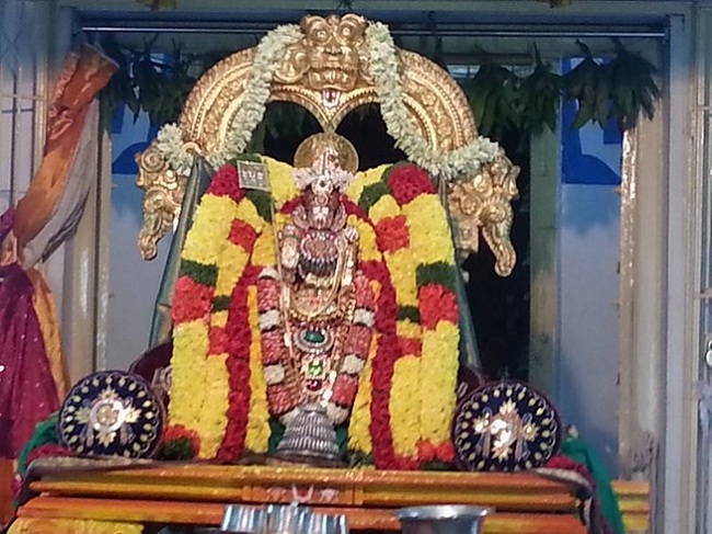 Tirupathi Sri Govindaraja Swamy Temple Sri Manavala Mamunigal Avatara Utsavam6