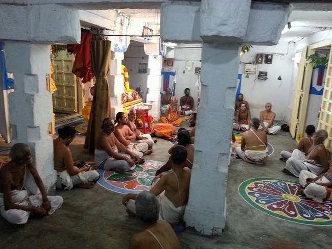 Tirupathi Sri Govindaraja Swamy Temple Sri Manavala Mamunigal Avatara Utsavam6