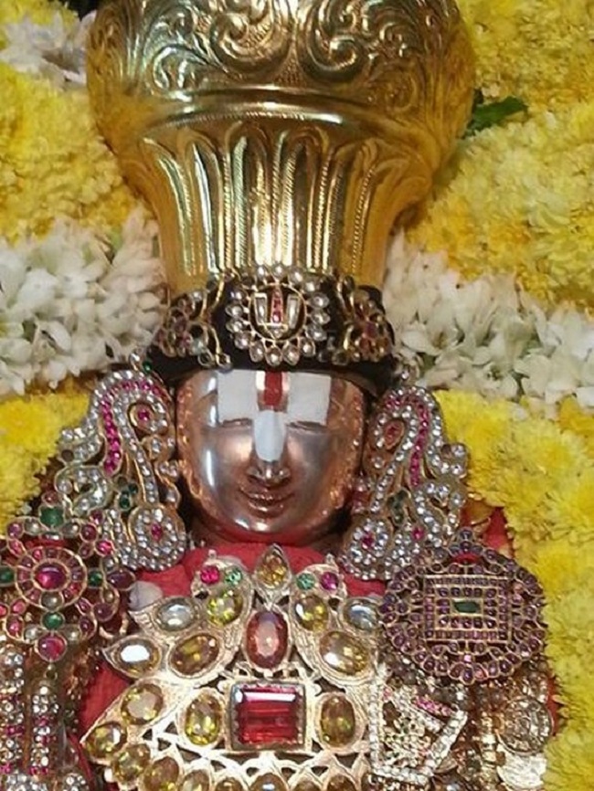 Tirupathi Sri Govindaraja Swamy Temple Sri Manavala Mamunigal Avatara Utsavam7