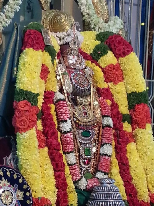 Tirupathi Sri Govindaraja Swamy Temple Sri Manavala Mamunigal Avatara Utsavam8