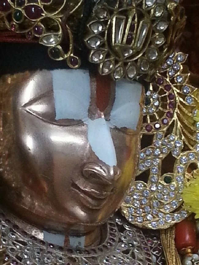 Tirupathi Sri Govindaraja Swamy Temple Sri Manavala Mamunigal Avatara Utsavam8
