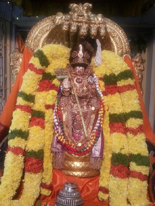 Tirupathi Sri Govindaraja Swamy Temple Sri Manavala Mamunigal Avatara Utsavam9