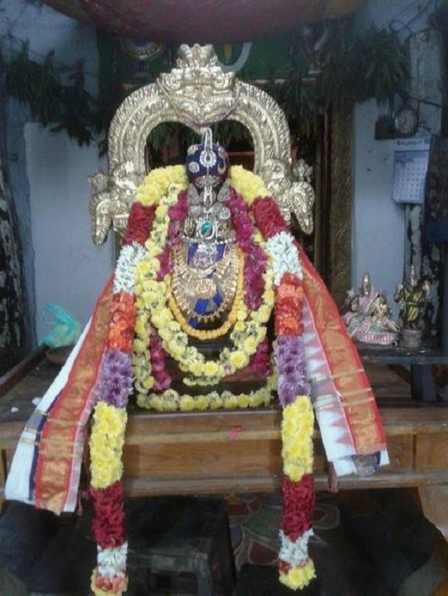Tirupathi Sri Govindaraja Swamy Temple Swami Desikan Avatara Utsavam1
