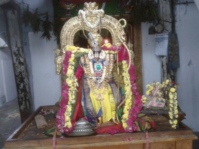 Tirupathi Sri Govindaraja Swamy Temple Swami Desikan Avatara Utsavam12