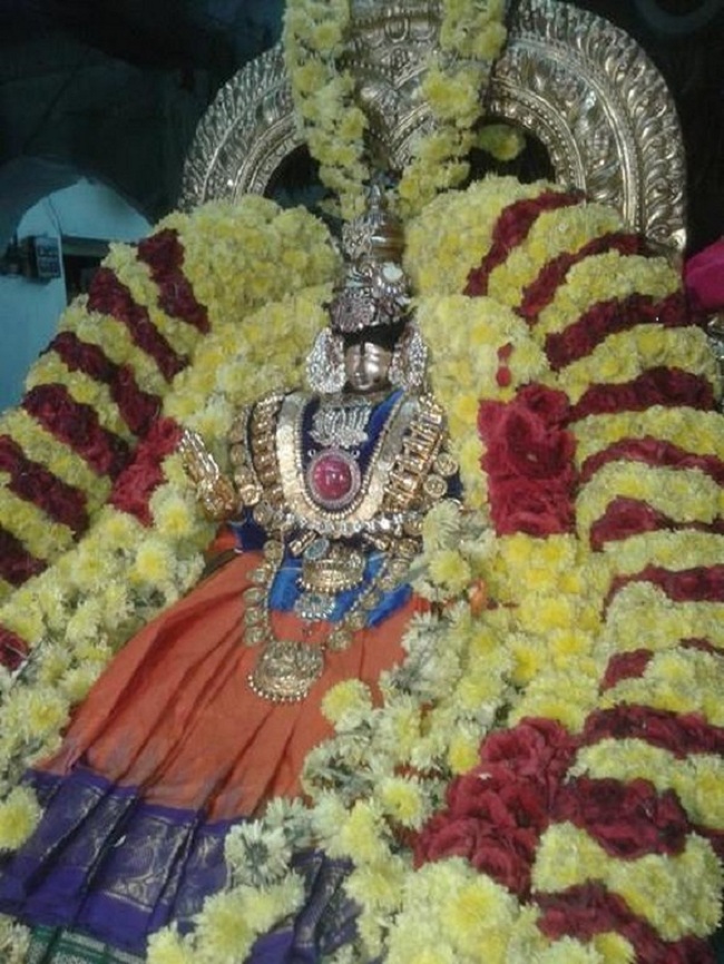 Tirupathi Sri Govindaraja Swamy Temple Swami Desikan Avatara Utsavam16