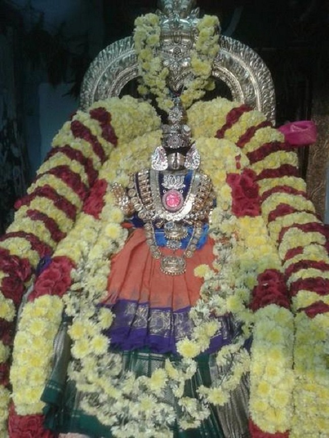 Tirupathi Sri Govindaraja Swamy Temple Swami Desikan Avatara Utsavam17