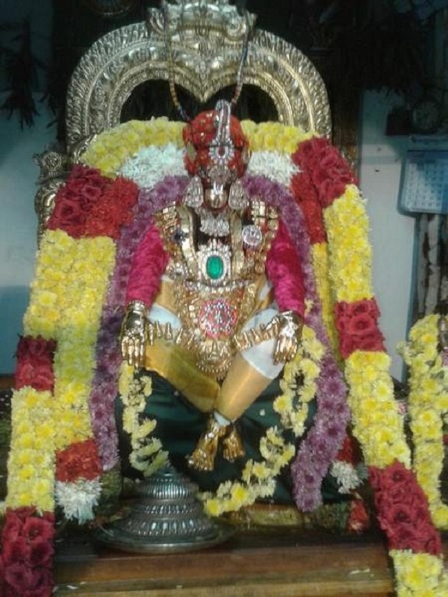 Tirupathi Sri Govindaraja Swamy Temple Swami Desikan Avatara Utsavam18