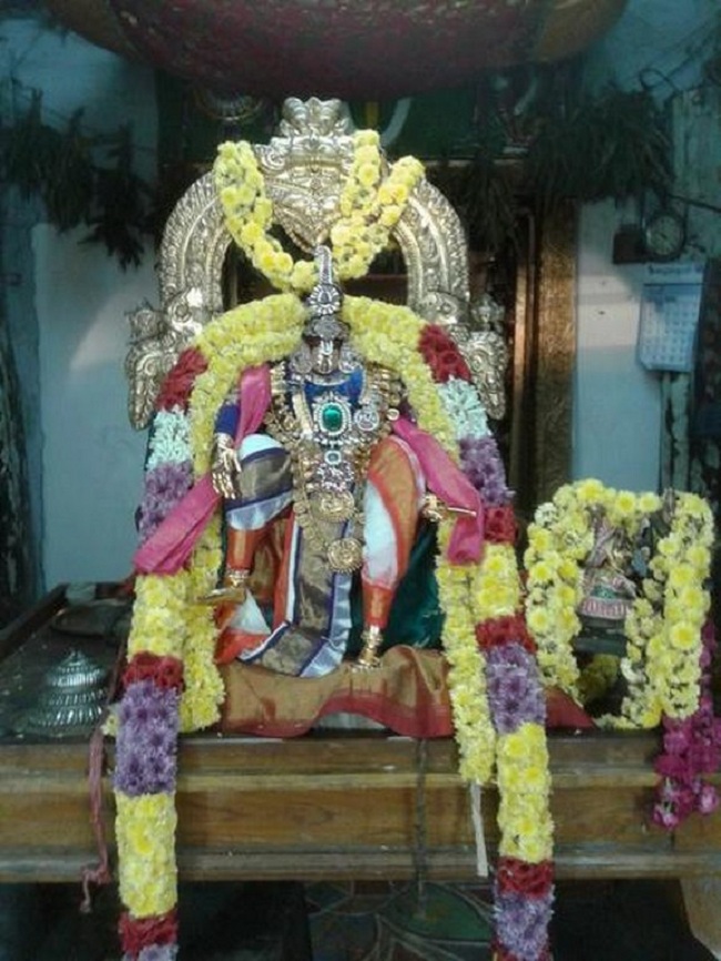 Tirupathi Sri Govindaraja Swamy Temple Swami Desikan Avatara Utsavam4