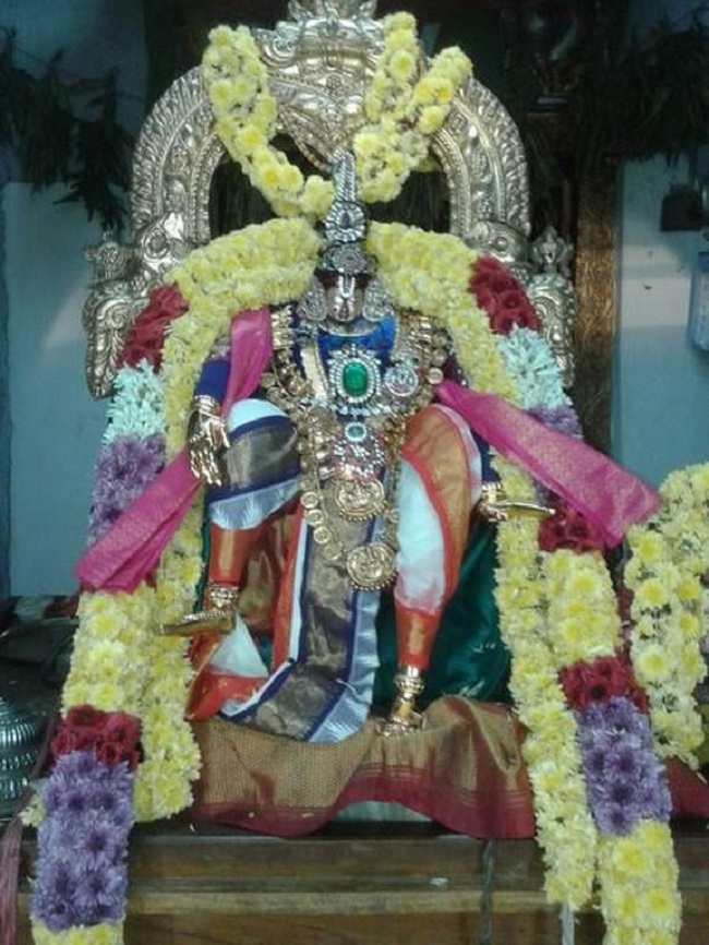Tirupathi Sri Govindaraja Swamy Temple Swami Desikan Avatara Utsavam7