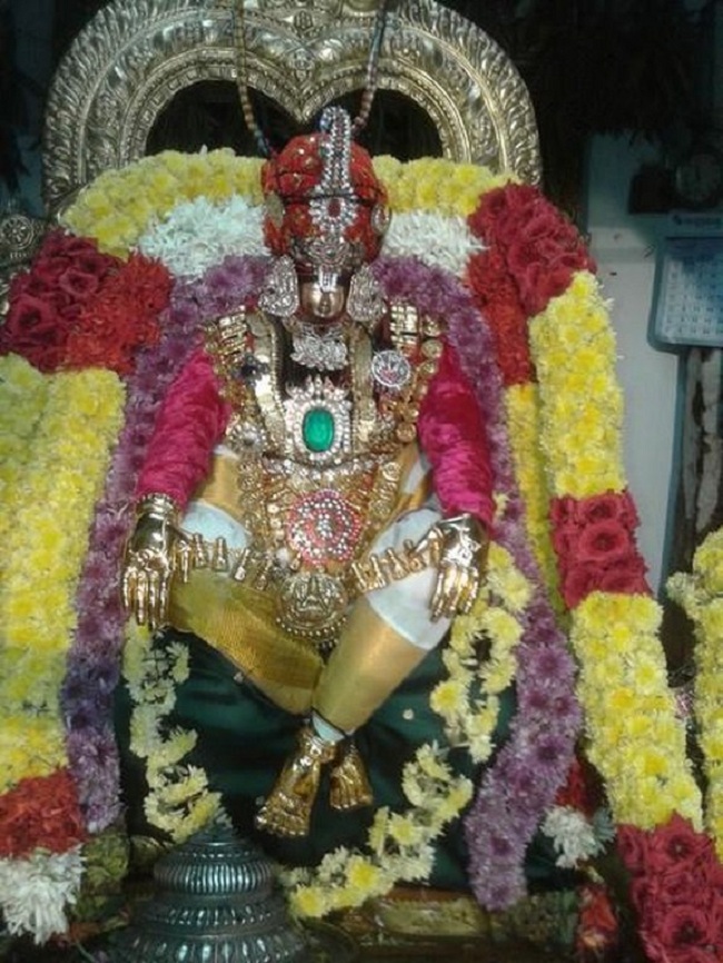 Tirupathi Sri Govindaraja Swamy Temple Swami Desikan Avatara Utsavam8