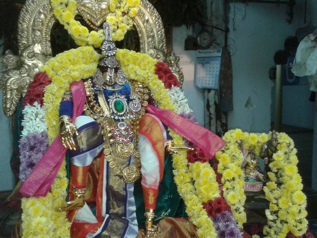 Tirupathi Sri Govindaraja Swamy Temple Swami Desikan Avatara Utsavam9