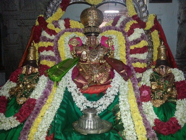Tirupathi Sri Govindaraja Swamy Temple Tirumalai Nambi Thirunakshatra Utsavam5