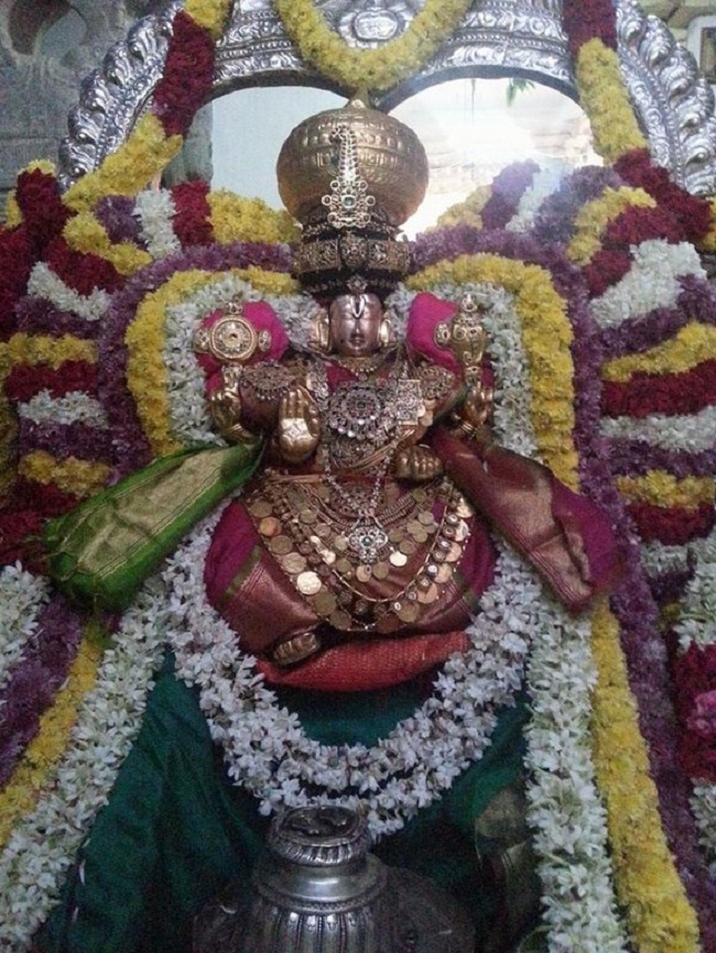Tirupathi Sri Govindaraja Swamy Temple Tirumalai Nambi Thirunakshatra Utsavam9