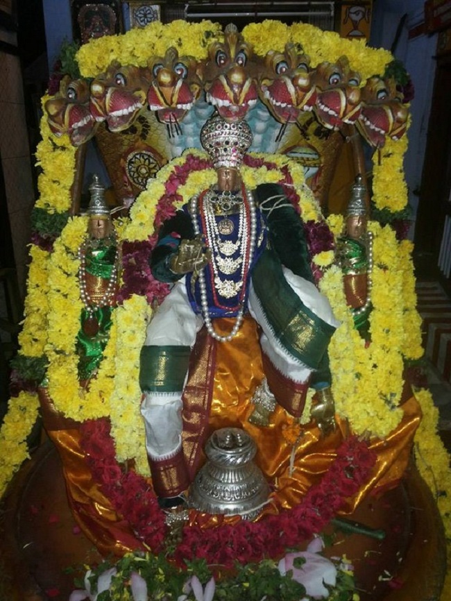 Trivandrum Ahobila Mutt Srinivasa Perumal Brahmotsavam And Swami Desikan Thirunakshatra Mahotsavam10