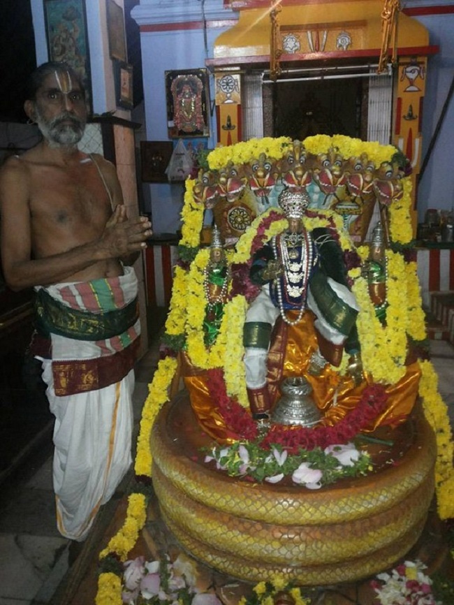 Trivandrum Ahobila Mutt Srinivasa Perumal Brahmotsavam And Swami Desikan Thirunakshatra Mahotsavam7