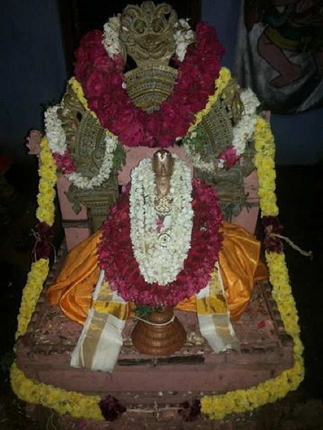 Trivandrum Ahobila Mutt Srinivasa Perumal Brahmotsavam And Swami Desikan Thirunakshatra Mahotsavam8