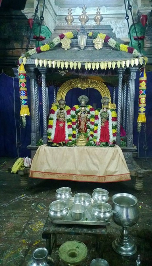 Vanamamalai Sri Deivanayaga Perumal Temple Oonjal Utsavam 10