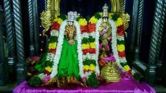 Vanamamalai Sri Deivanayaga Perumal Temple Oonjal Utsavam 2