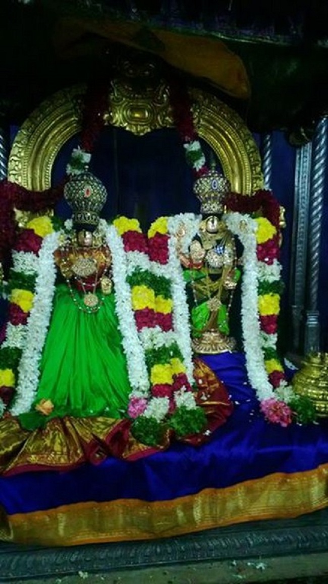 Vanamamalai Sri Deivanayaga Perumal Temple Oonjal Utsavam 4