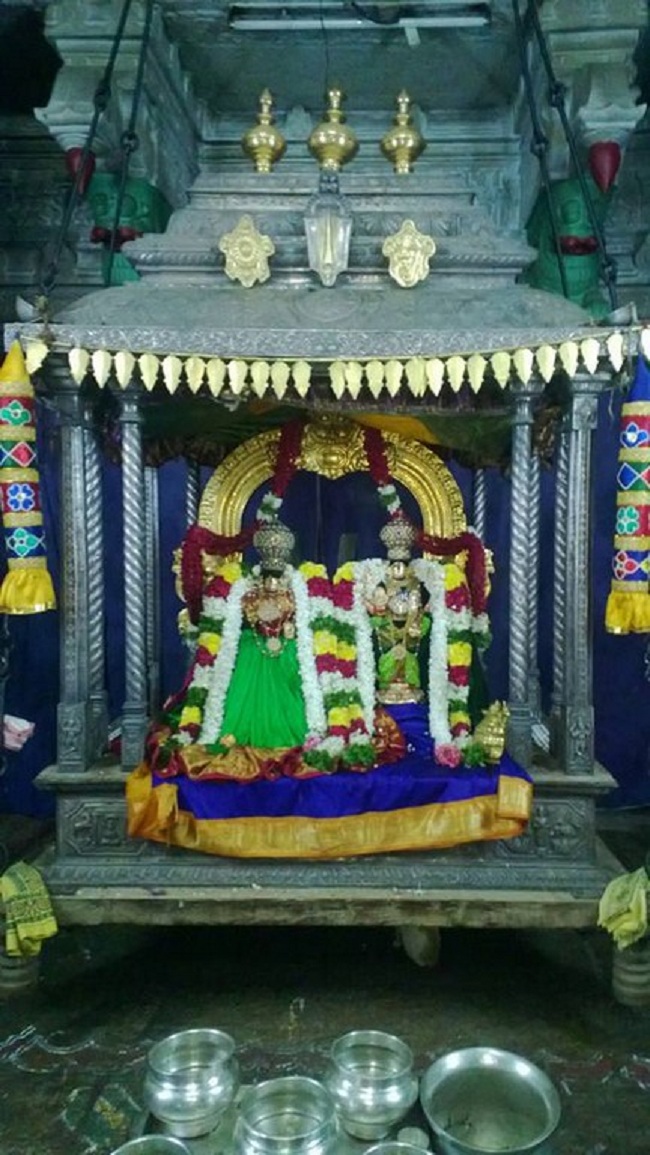 Vanamamalai Sri Deivanayaga Perumal Temple Oonjal Utsavam 5