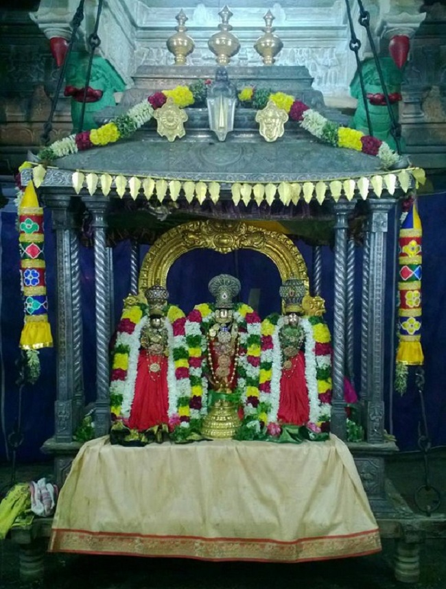 Vanamamalai Sri Deivanayaga Perumal Temple Oonjal Utsavam 8