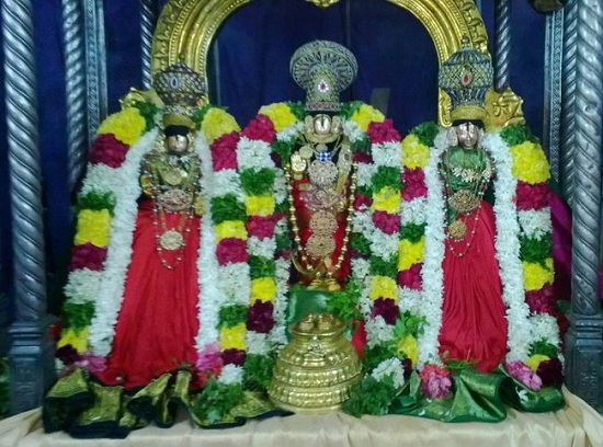 Vanamamalai Sri Deivanayaga Perumal Temple Oonjal Utsavam 9