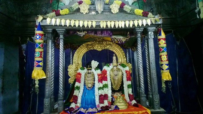 Vanamamalai Sri Deivanayaga Perumal Temple Oonjal Utsavam Concludes2