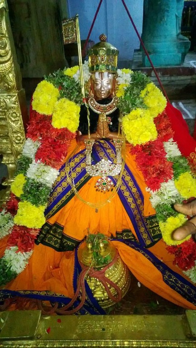 Vanamamalai Sri Deivanayaga Perumal Temple Oonjal Utsavam Concludes4