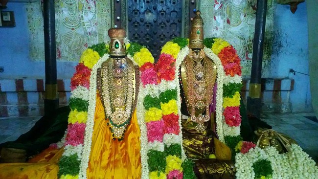 Vanamamalai Sri Deivanayaga Perumal Temple Oonjal Utsavam10