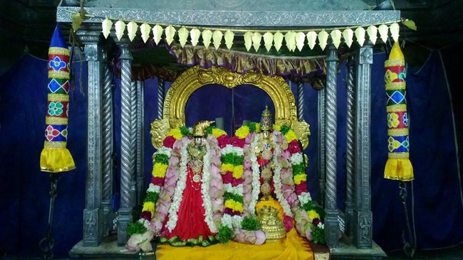 Vanamamalai Sri Deivanayaga Perumal Temple Oonjal Utsavam6