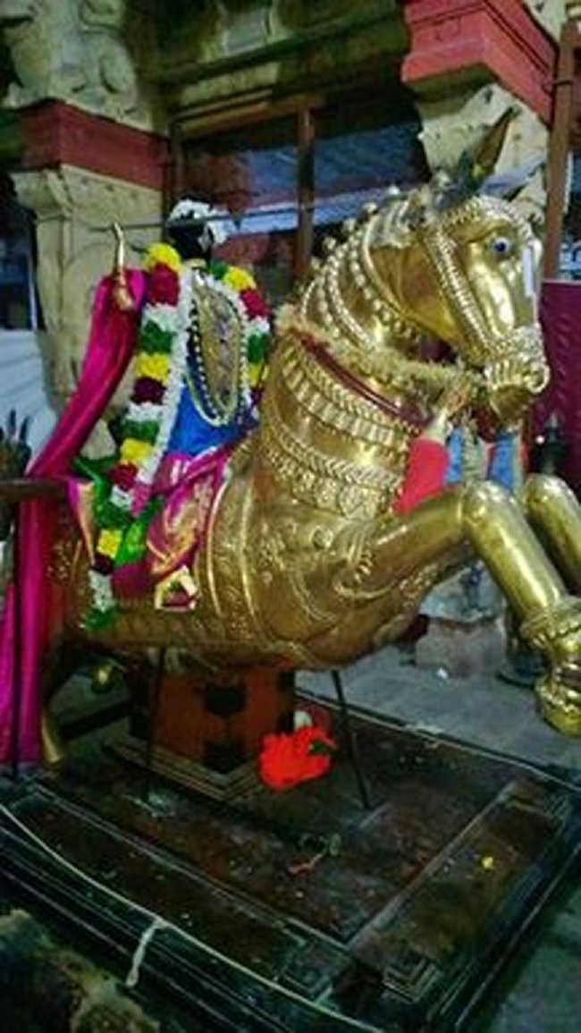 Vanamamalai Sri Deivanayaga Perumal Temple Vijayadasami Parivettai Utsavam3
