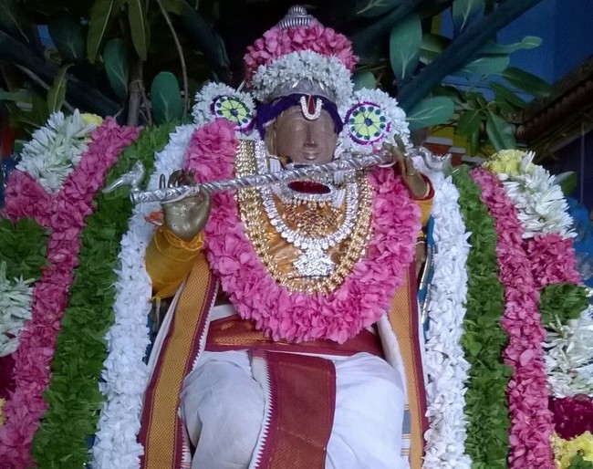 Vilakudi Sri Kasthuri Ranganatha Perumal Temple Navarathri Utsavam 2014 04