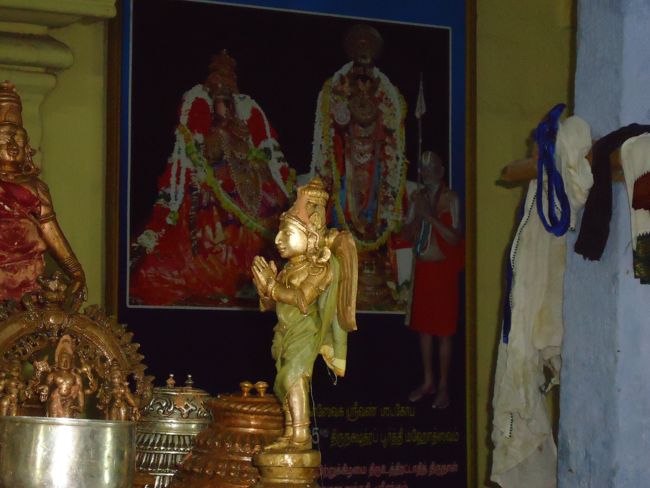 deepavali 2014 - thirukurallapan sannati - thirumanjanam - goshti (72)