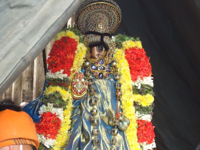 oonjal sevai - theerthavari - 19th oct 14  (41)